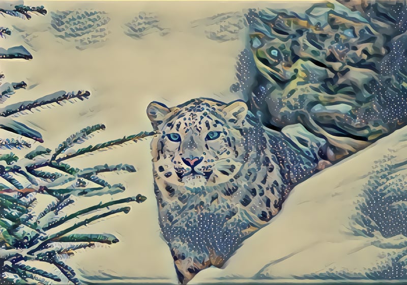 Snow Leopard by Monica Amorim
