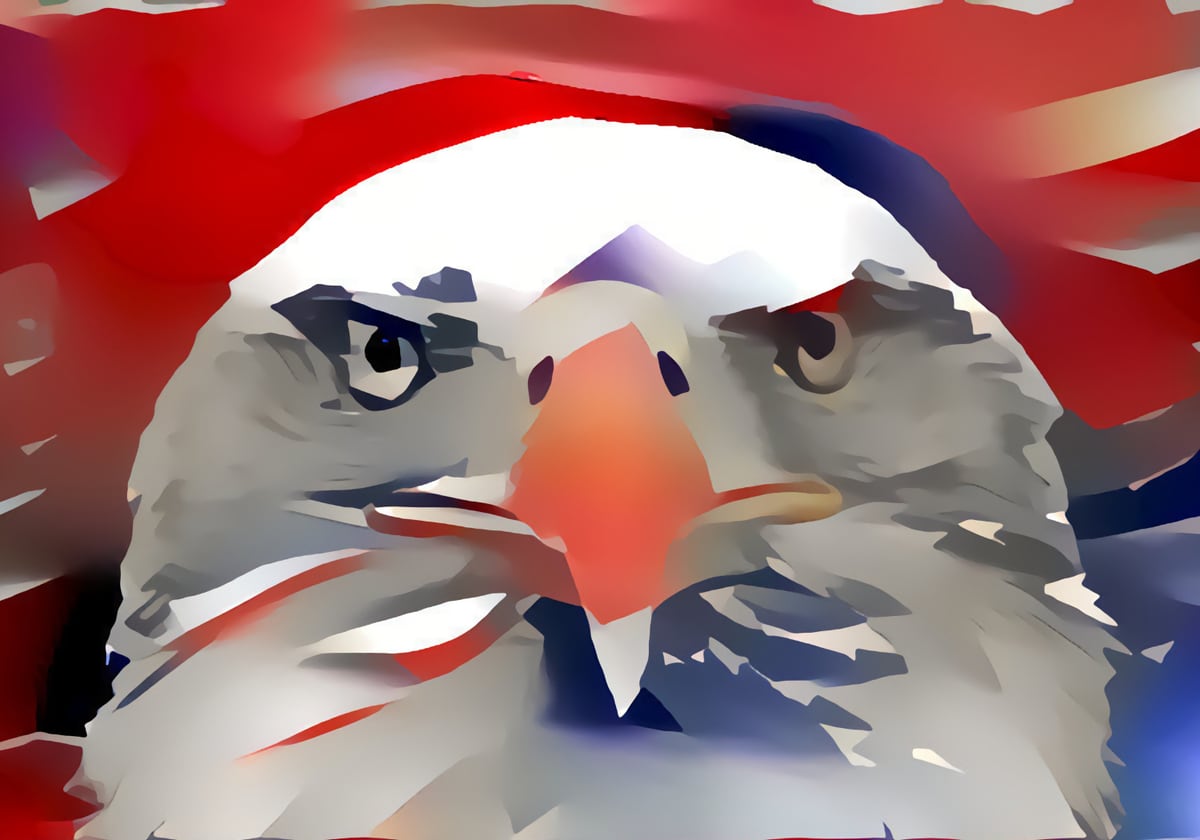 Bald Eagle by Monica Amorim