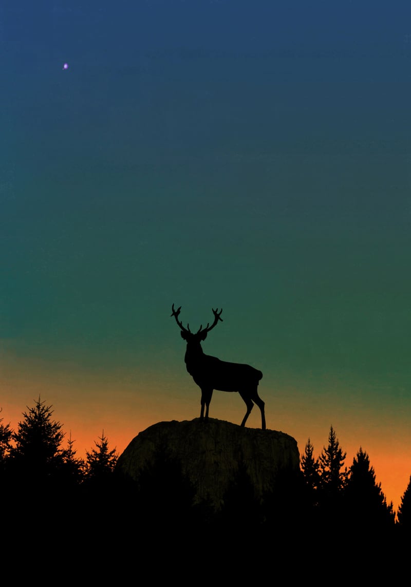 Wild Nature - Dusk by Monica Amorim