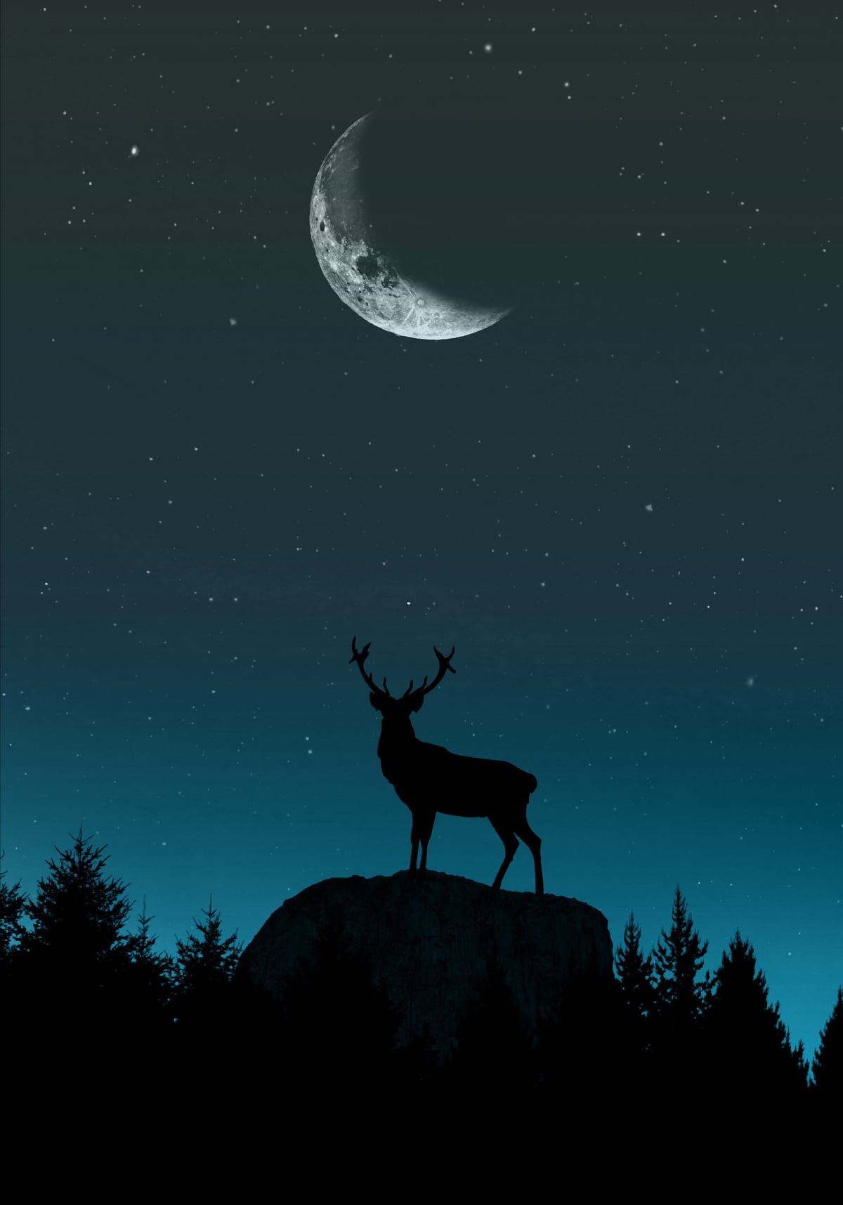 Wild Nature - Nocturne by Monica Amorim