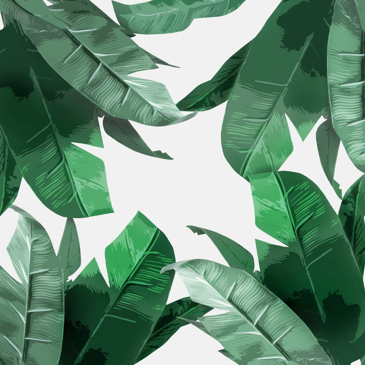 Tropical Palm Print by Tamsin Raslan