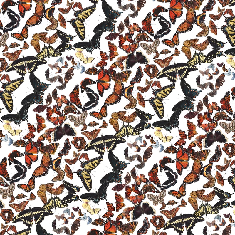 Maine Butterflies Pattern by Jada Fitch