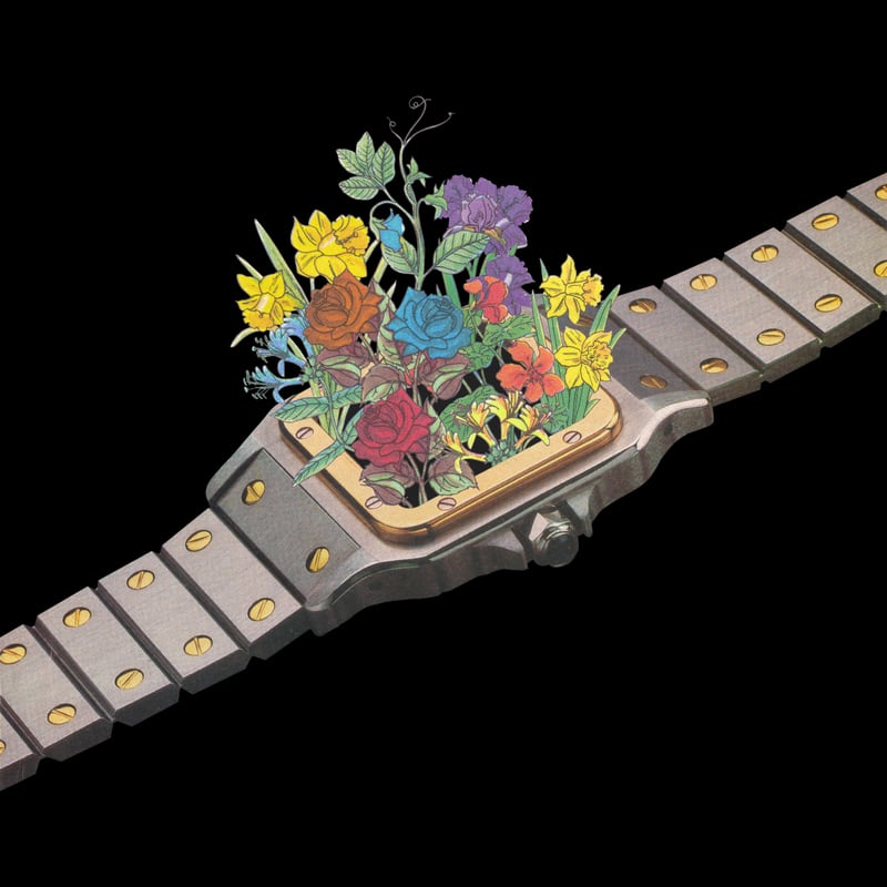 Natural Watch by LennyCollageArt