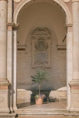 Sacred Olive Tree at the Cathedral by Marika Huisman thumbnail