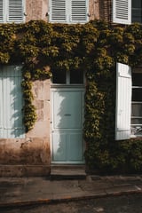 Botanical house with the white door by Marika Huisman thumbnail