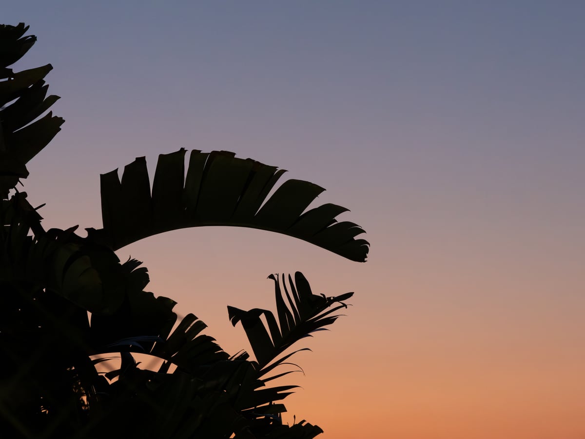 A serene sunset by Marika Huisman