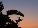 A serene sunset by Marika Huisman thumbnail