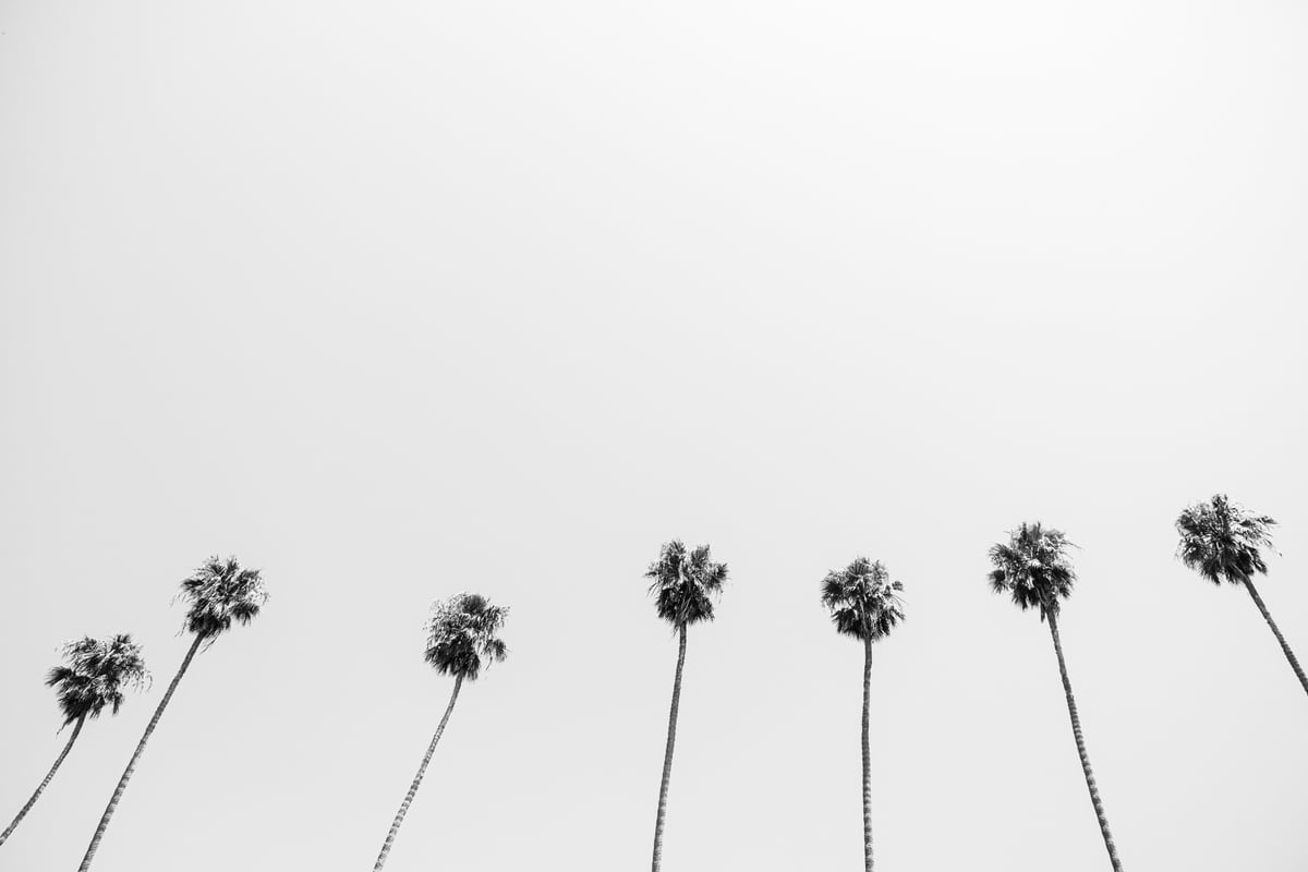 Look up by Marika Huisman
