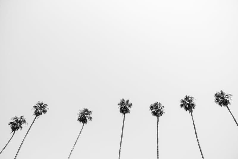 Look up by Marika Huisman