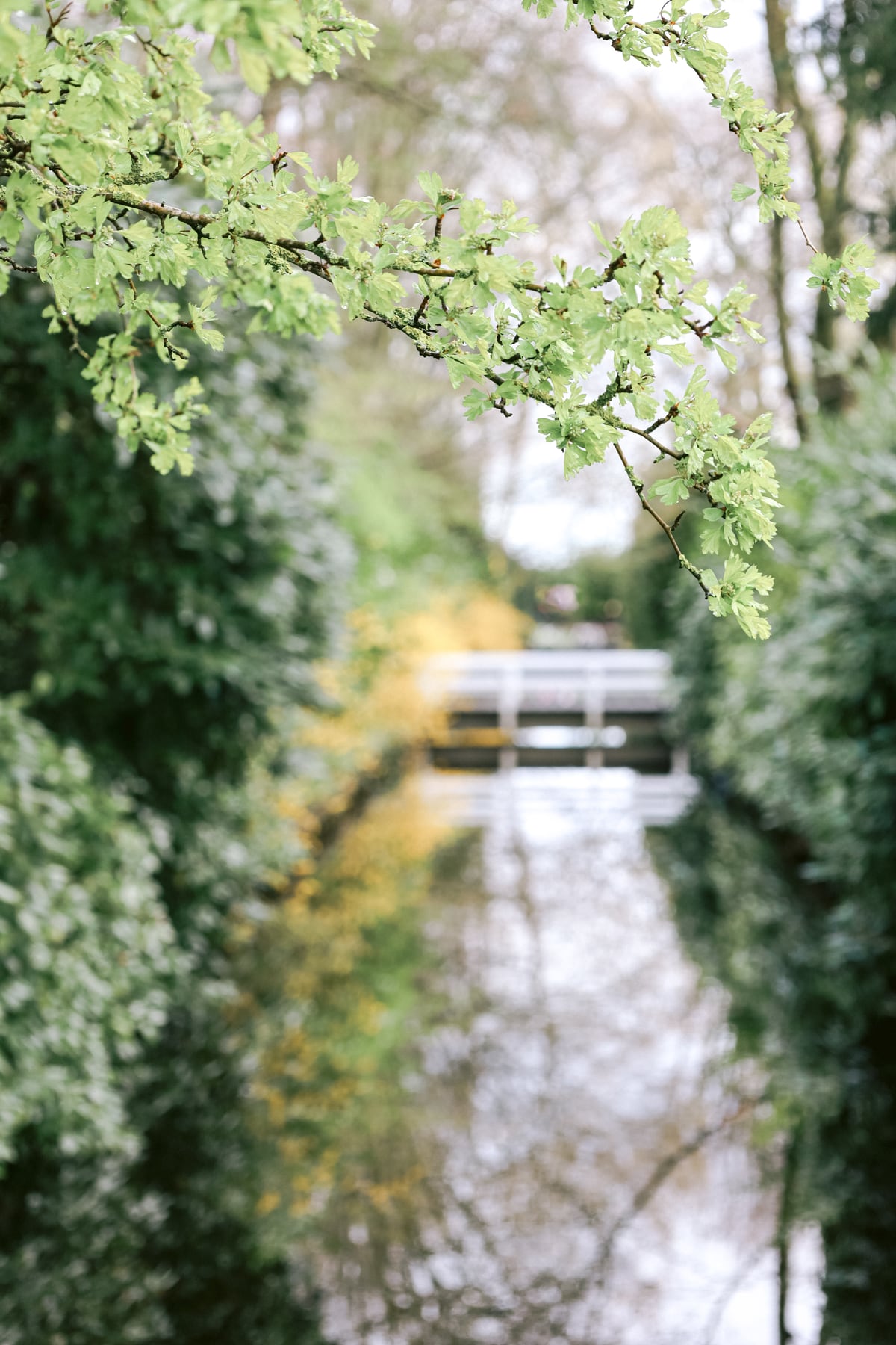 A walk in the park by Marika Huisman