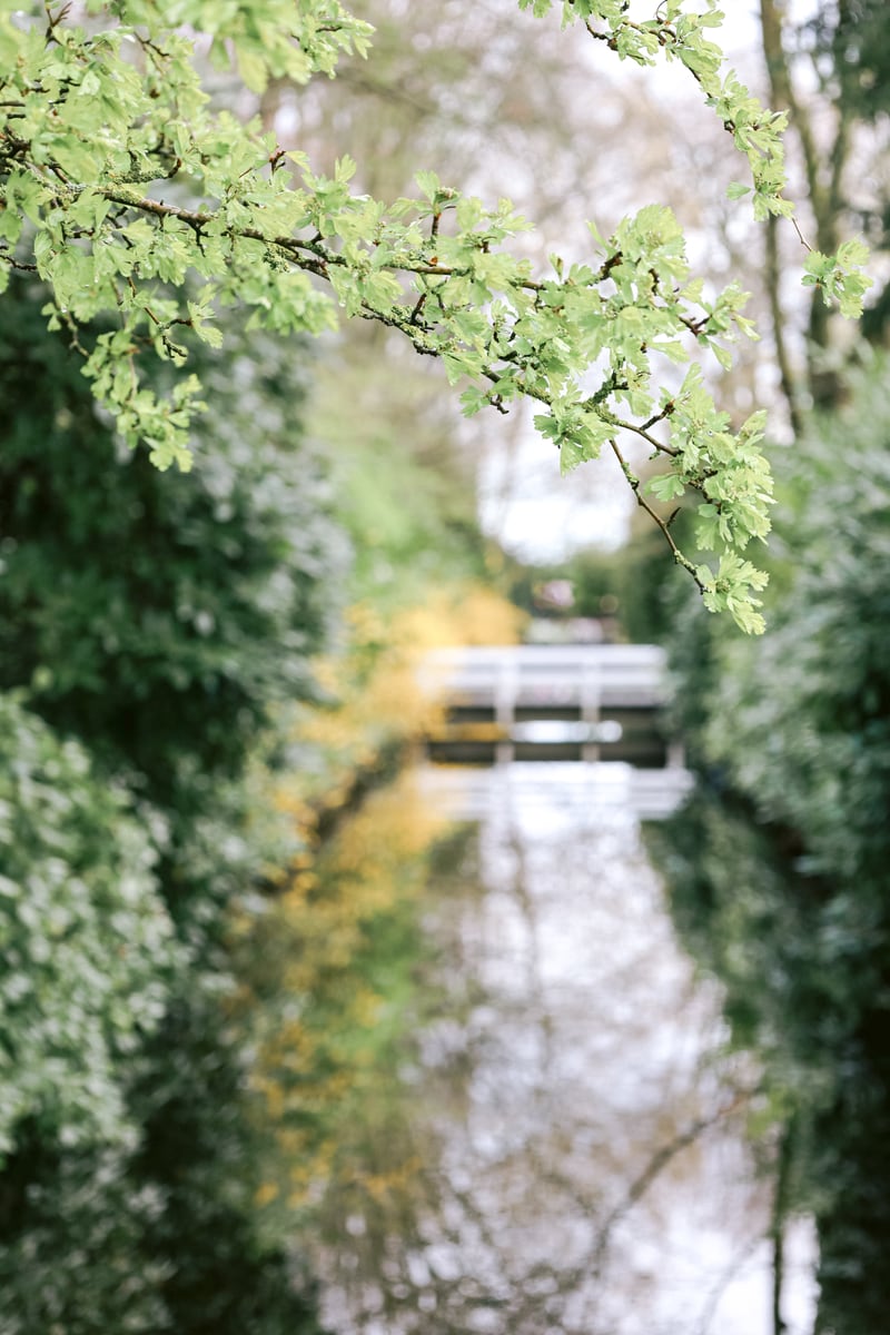 A walk in the park by Marika Huisman