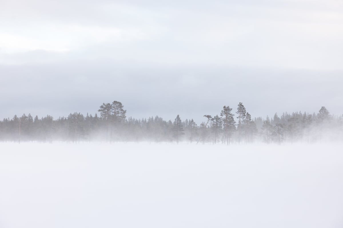 Blizzard by Marika Huisman