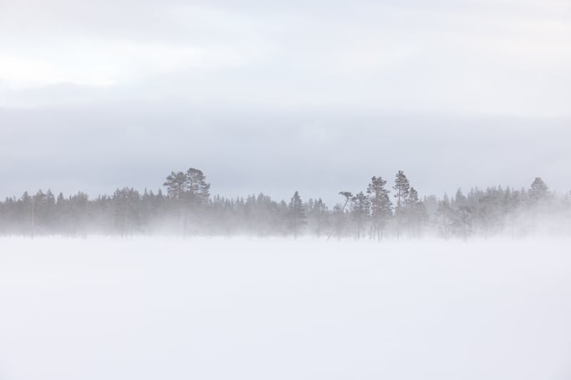 Blizzard by Marika Huisman