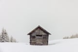 Wooden shed with snow by Marika Huisman thumbnail