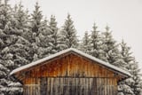 Shed with snow by Marika Huisman thumbnail
