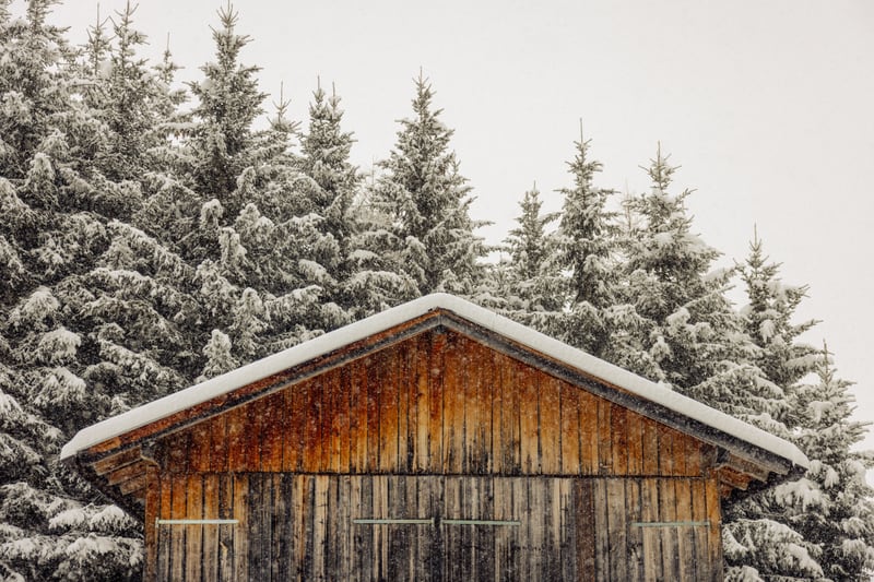 Shed with snow by Marika Huisman