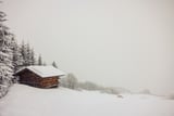 Winter landscape by Marika Huisman thumbnail