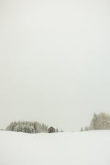 Minimalistic snow landscape by Marika Huisman thumbnail