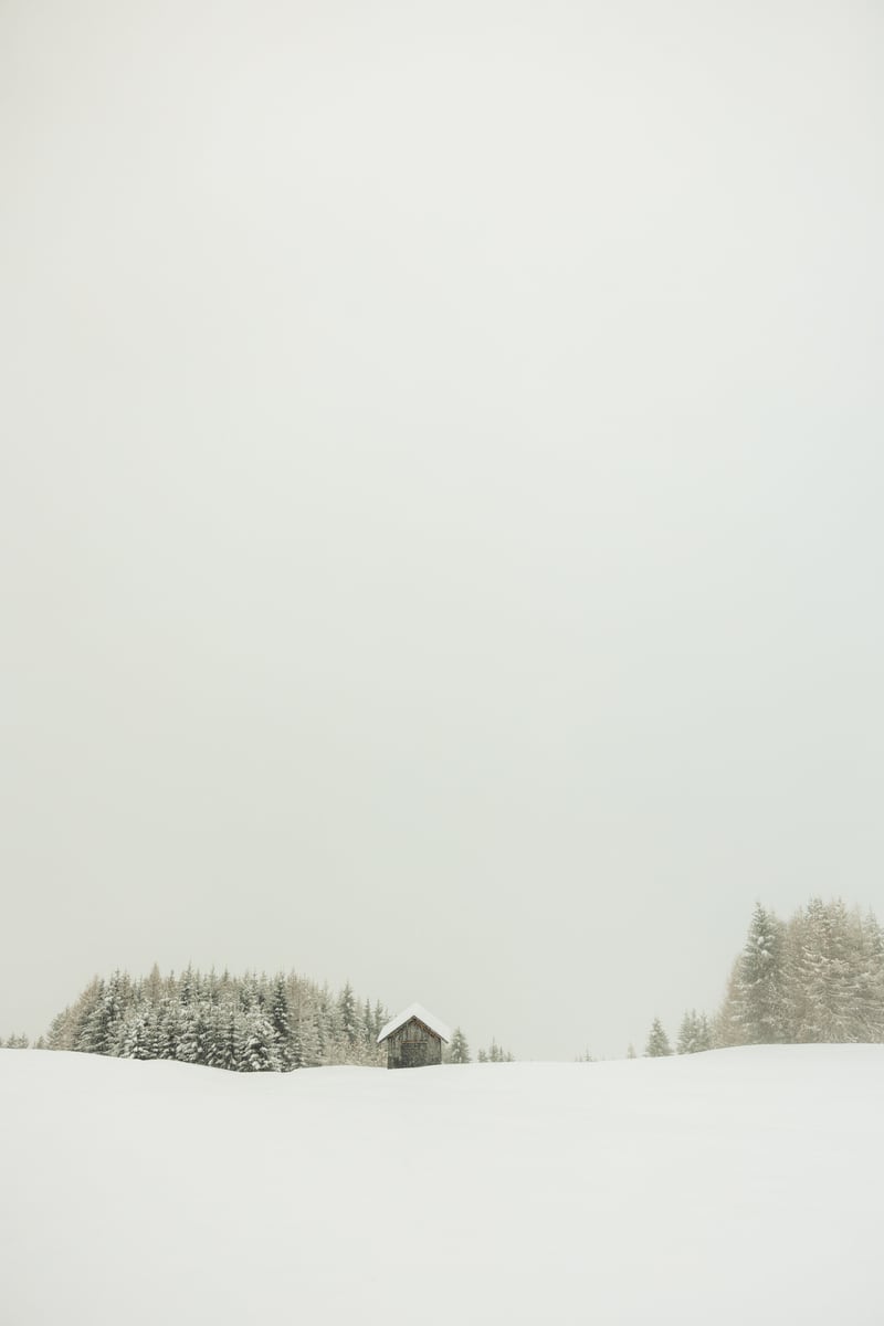 Minimalistic snow landscape by Marika Huisman