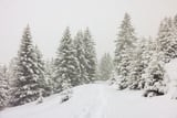 Hike in the snow by Marika Huisman thumbnail