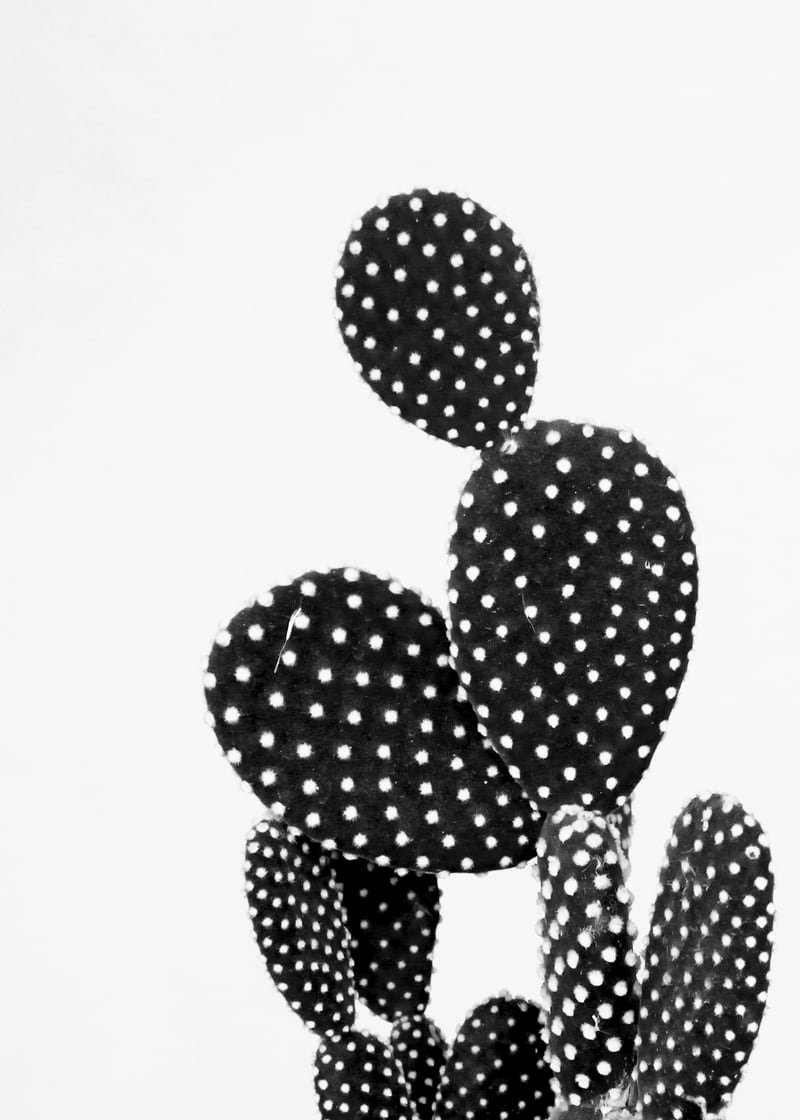 cactus vertical by Ana limon