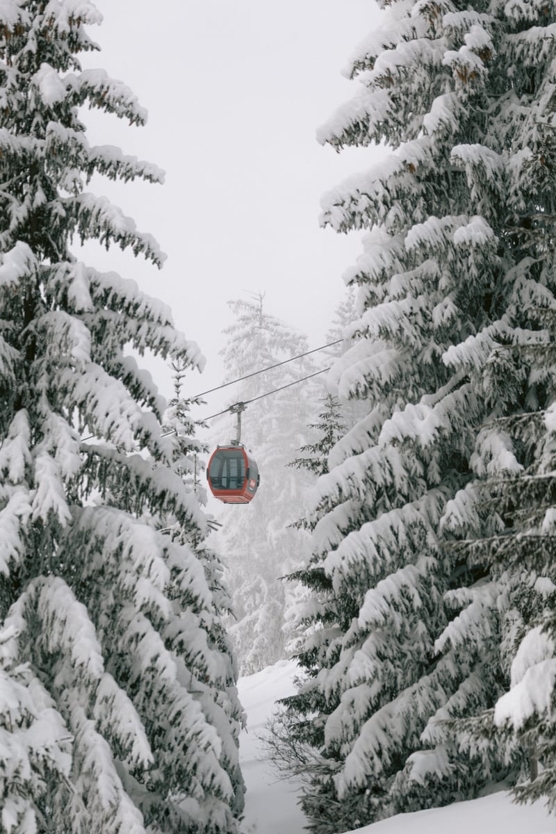 Red gondola at winter landscape | Winter nature photography | Austria by Marika Huisman