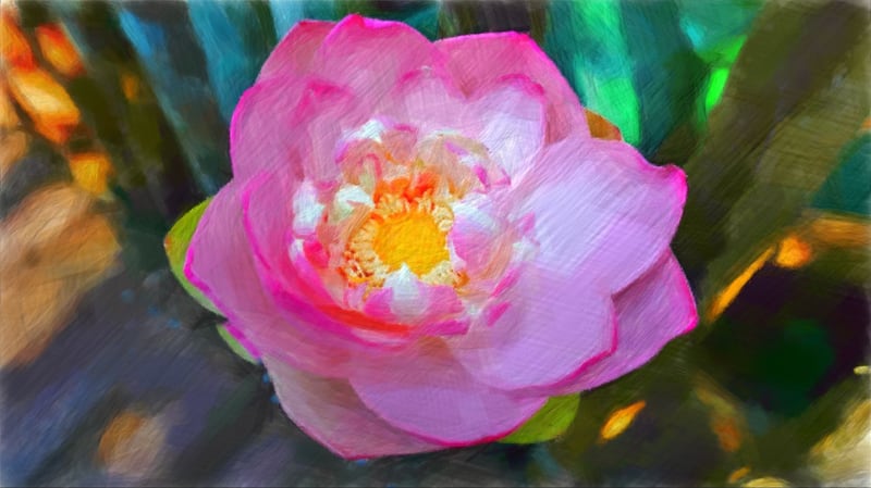 Lotus Flower by Charming Magnolia