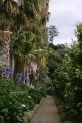 Botanische Tuin 2 by Marika Huisman thumbnail