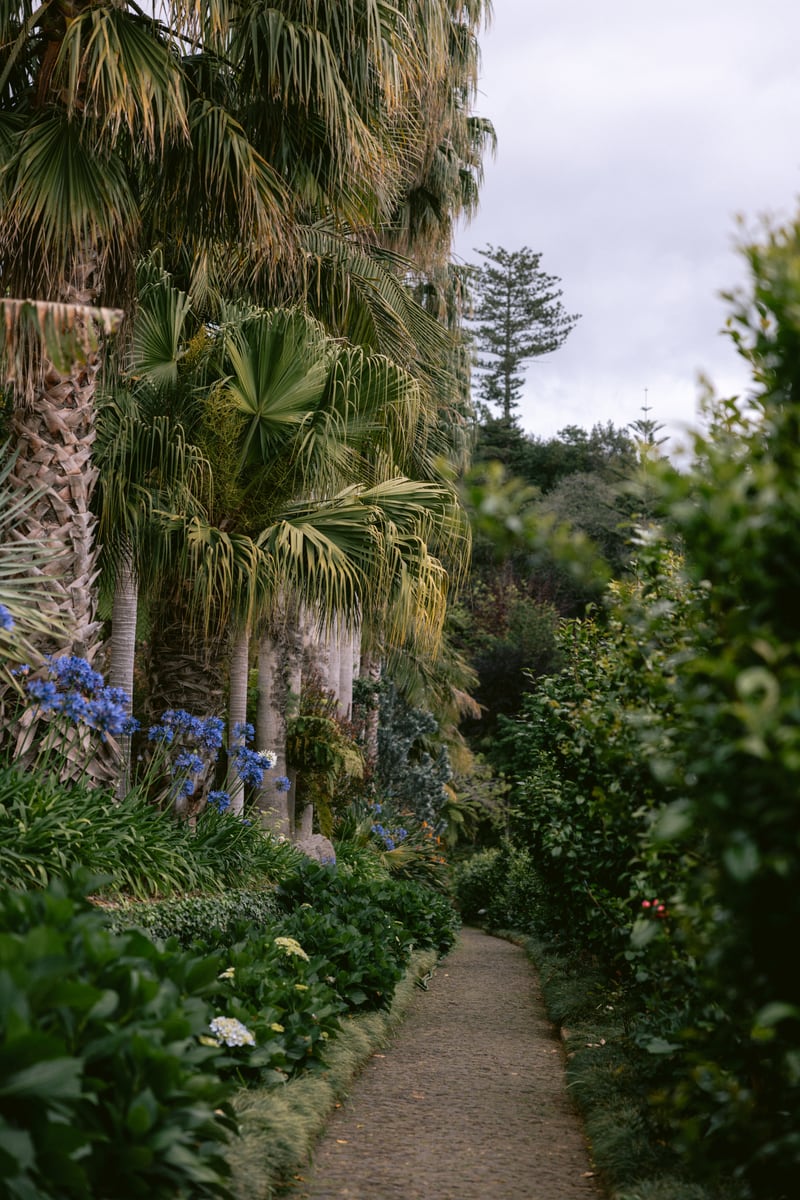 Botanische Tuin 2 by Marika Huisman