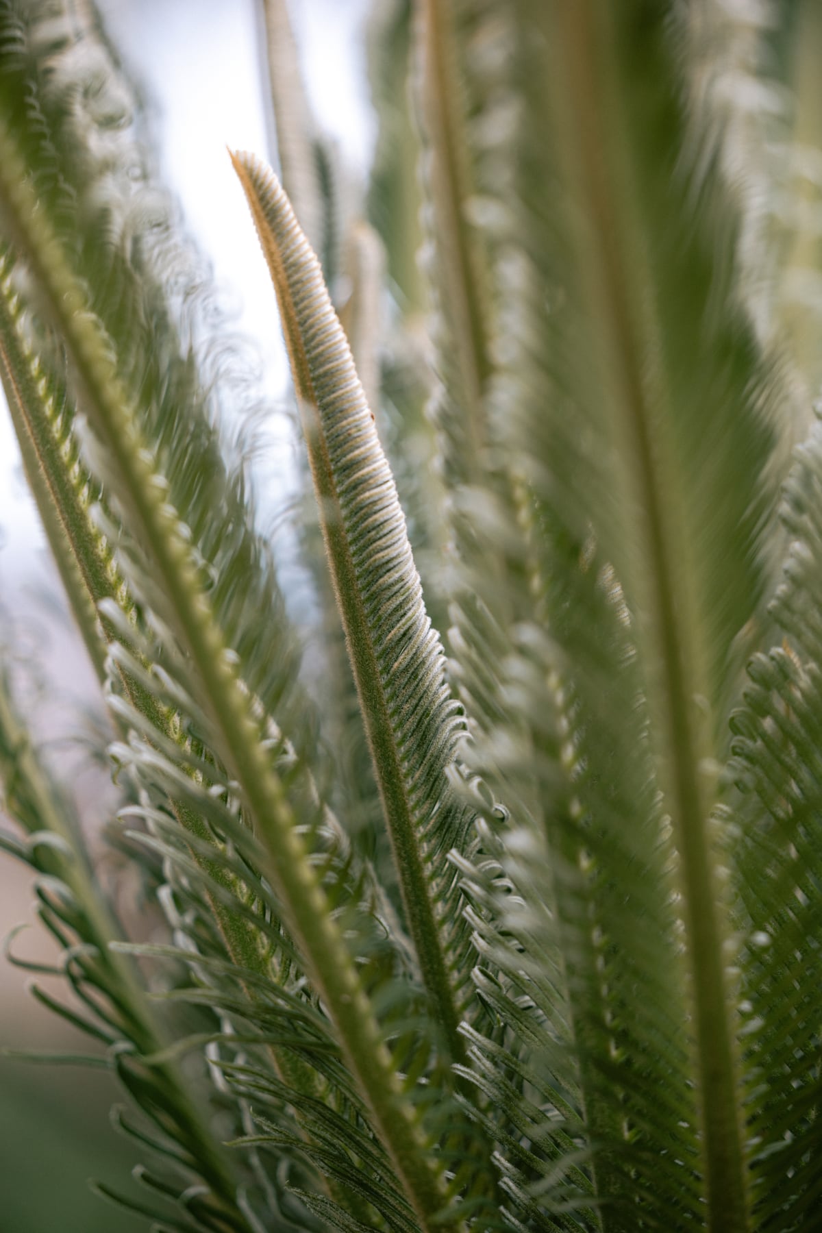 Botanische Tuin 3 by Marika Huisman