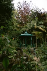 Botanische Tuin 5 by Marika Huisman thumbnail