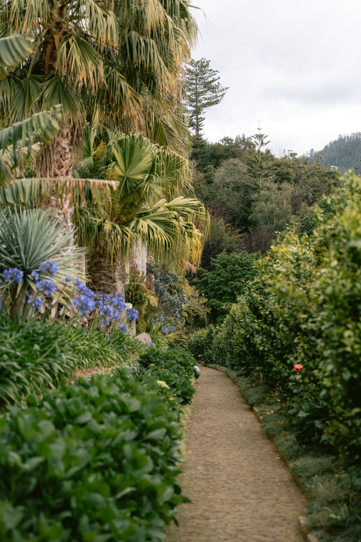 Botanische Tuin 6 by Marika Huisman