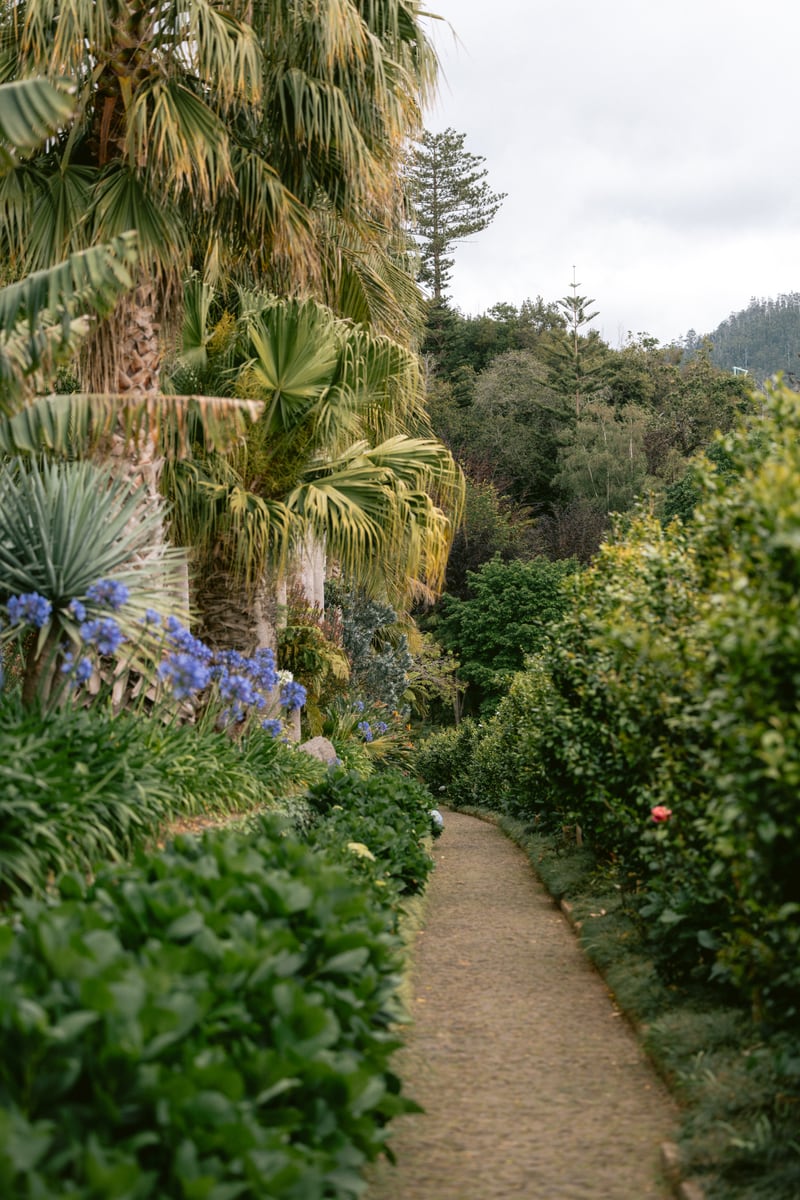 Botanische Tuin 6 by Marika Huisman
