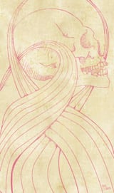 Skull by Mike Koubou thumbnail