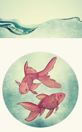 Goldfishes by Mike Koubou thumbnail