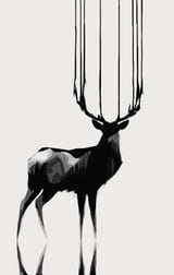Deer by Animal Prints thumbnail