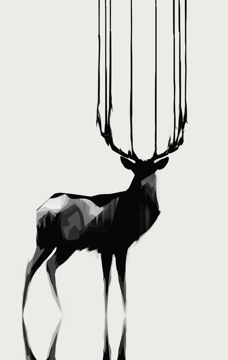 Deer by Animal Prints