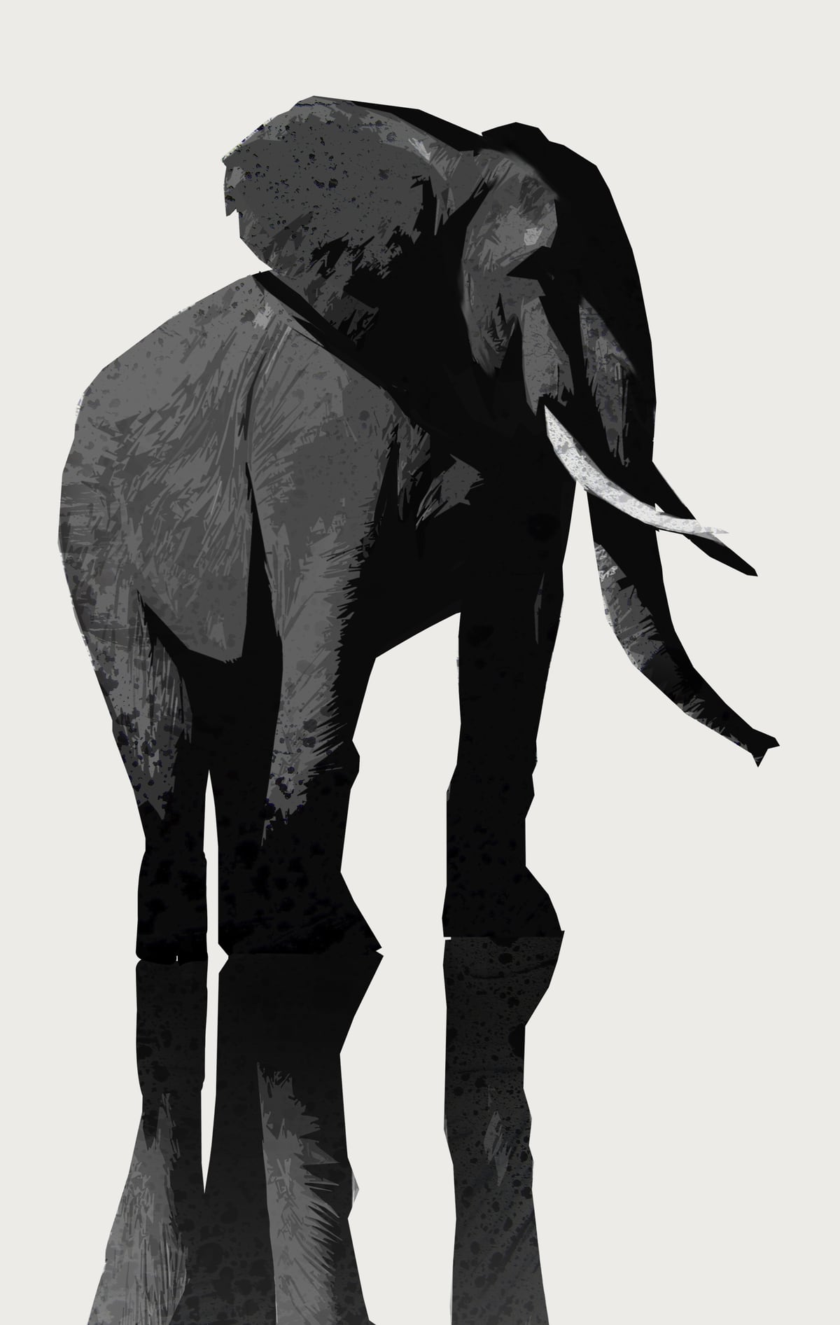 Elephant by Animal Prints