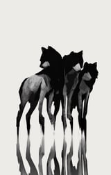 Wolf by Animal Prints thumbnail