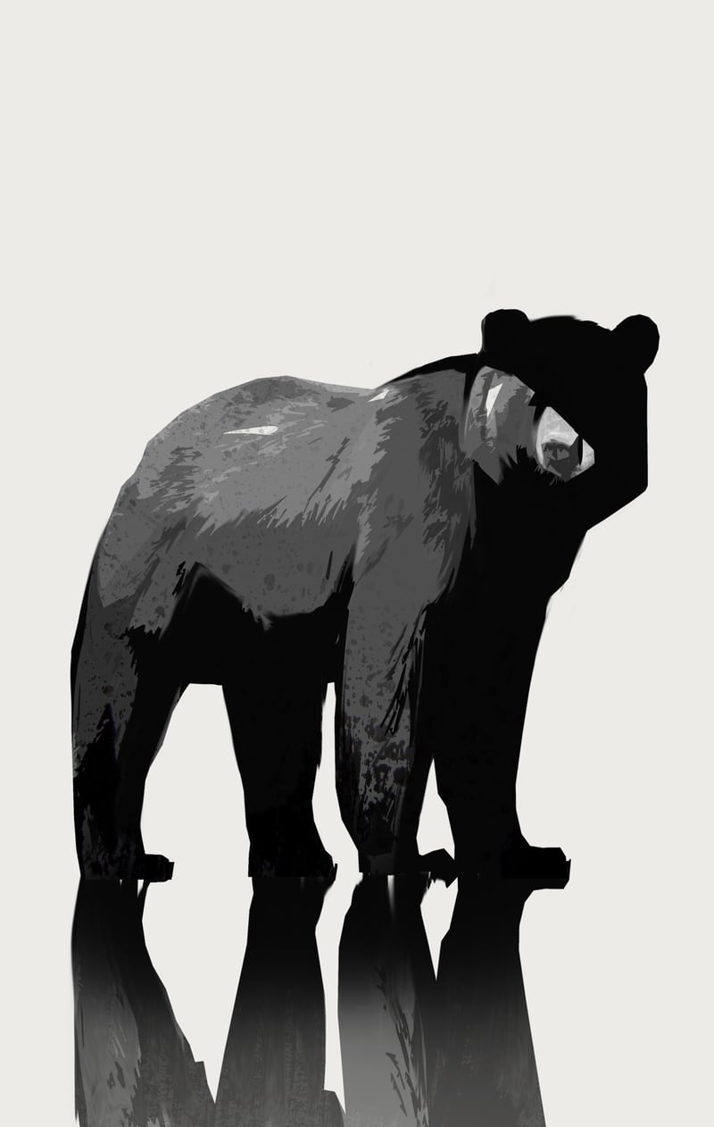Bear  by Animal Prints