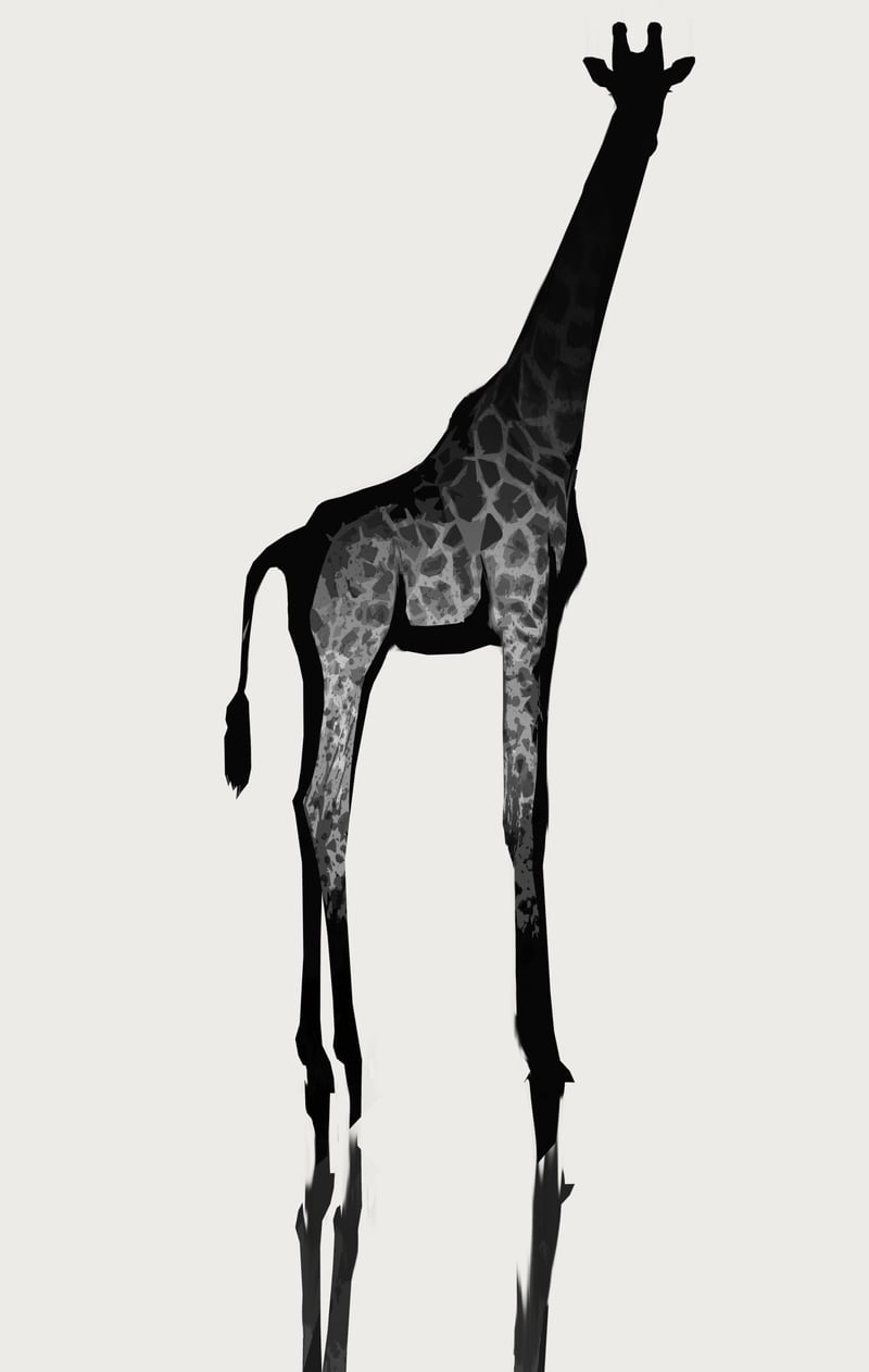 Giraffe  by Animal Prints