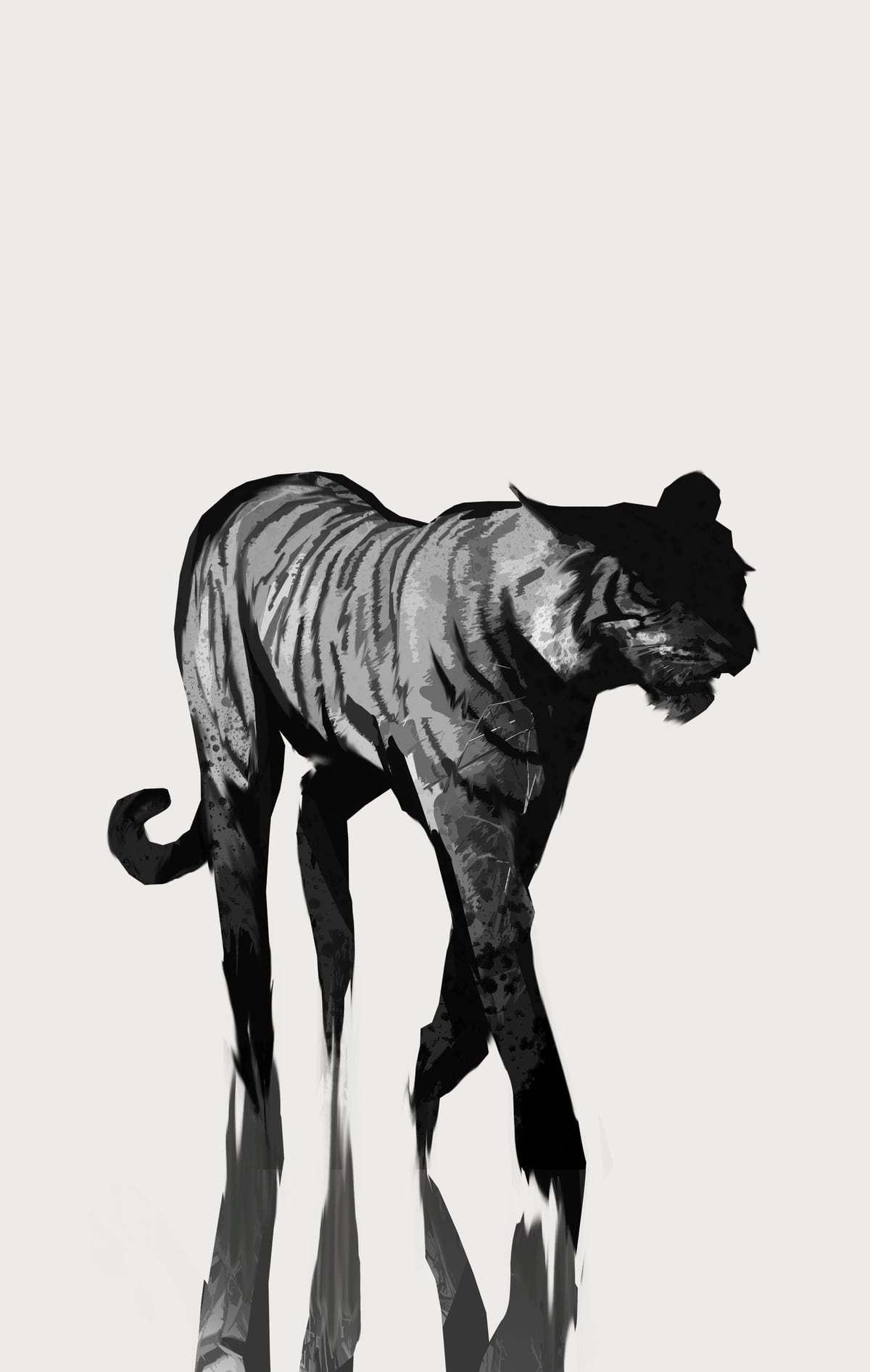Tiger  by Animal Prints