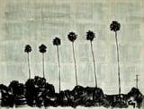 Six Palm Trees . by Marat Cherny thumbnail