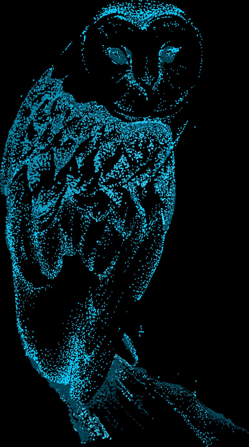 Teal Barn Owl by Vicky Holden