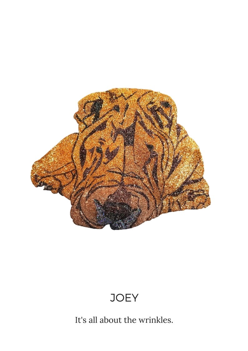 Joey Sharpei All Wrinkles  by Glitterbug Gifts