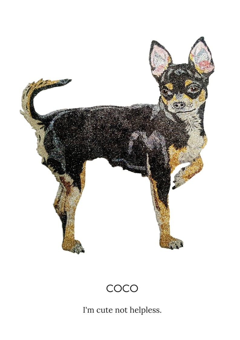 Coco Cute Chihuahua  by Glitterbug Gifts