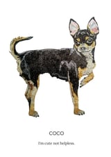Coco Cute Chihuahua  by Glitterbug Gifts thumbnail