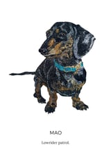 Mao Dachshund Lowrider  by Glitterbug Gifts thumbnail