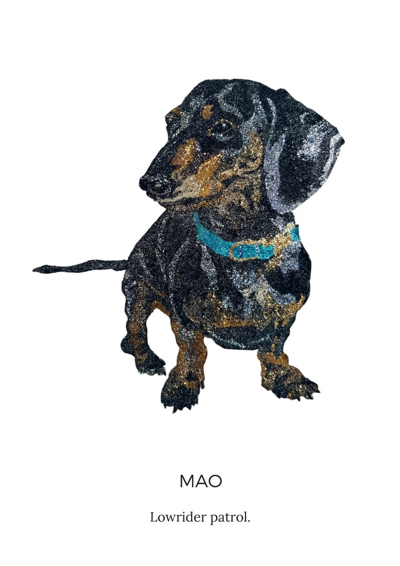 Mao Dachshund Lowrider  by Glitterbug Gifts