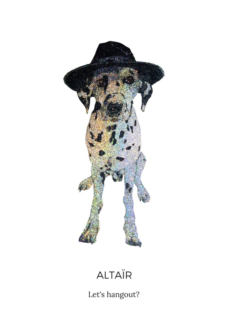 Altaïr Dalmatian Black Hat  by Glitterbug Gifts